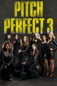 Pitch Perfect 3 (2017)